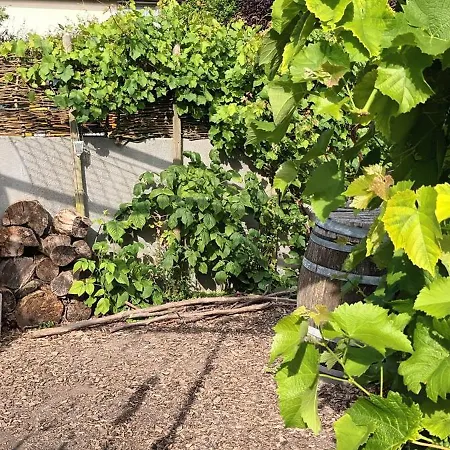 Fachwerkhaus Mit Garten Nah An Stadt Und Apartamento