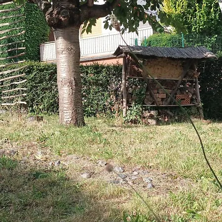 Apartment Fachwerkhaus Mit Garten Nah An Stadt Und